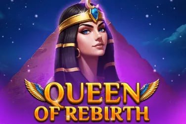 335 bet login