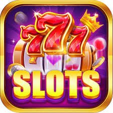 335 bet login