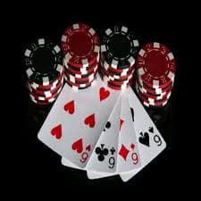 335 bet login